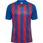 HUMMEL Core Xk Striped Jersey S/S Herren Blau