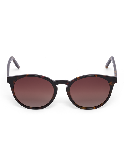 HUMMEL Fencer (tortoise)