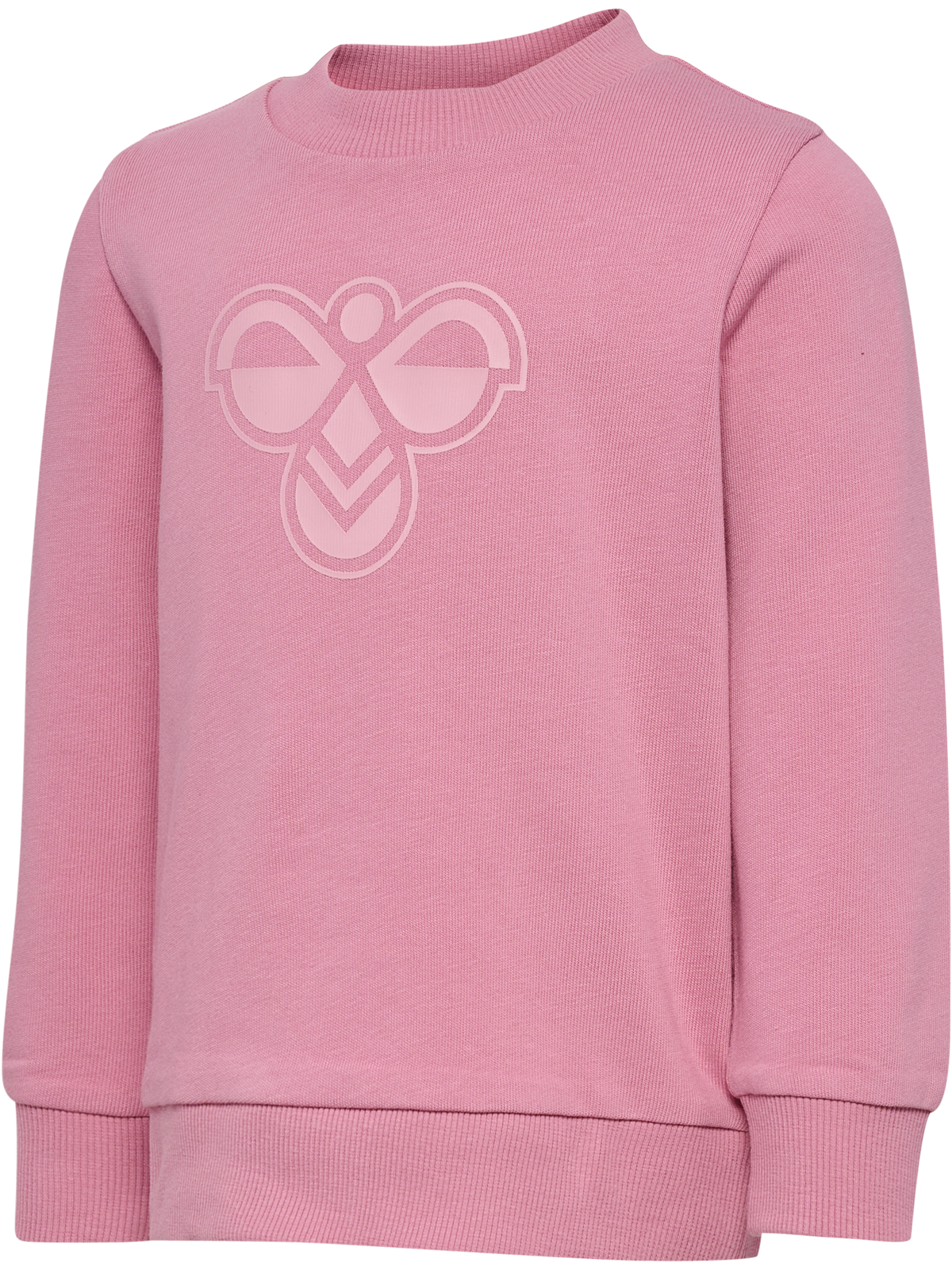 HUMMEL Mini Jersey Crewsuit Bee Kind (polignac)