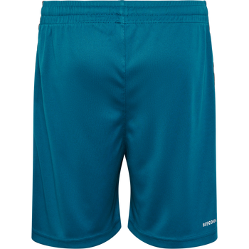 HUMMEL Authentic PL Shorts Kind (blue coral)