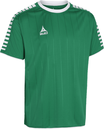 SELECT Argentina Trikot Kind (grün/weiss)