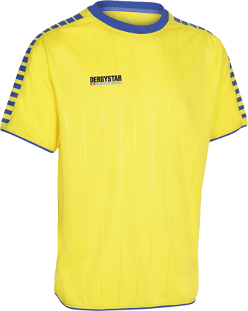 DERBYSTAR Hyper Trikot (gelb/blau)