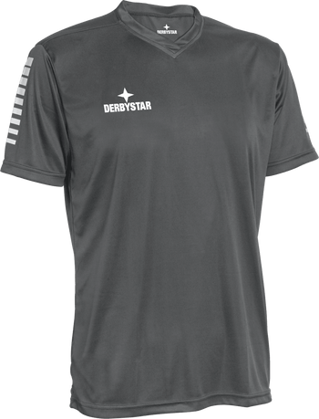 DERBYSTAR Contra Trikot (grau/weiss)