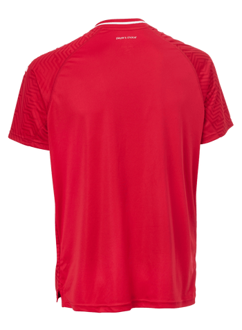 DERBYSTAR Trikot Kurzarm Primo v24 Kind (rot/weiss)