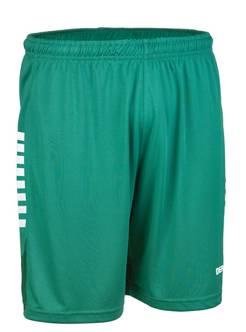 DERBYSTAR Hose Kurz Madrid v25 Kind Grün