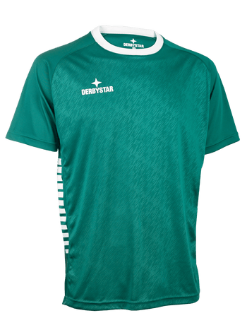 DERBYSTAR Trainingsshirt v26 Kind (grün/weiss)