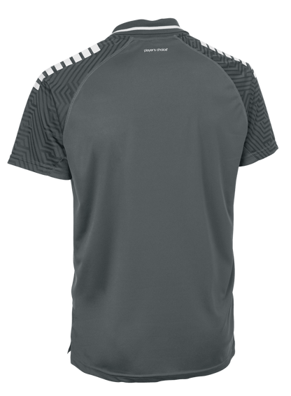 SELECT Monaco Polo-Shirt v24 (grau/weiss)