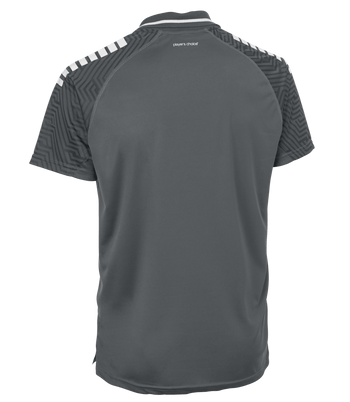 DERBYSTAR Polo-Shirt Primo v24 (grau/weiss)