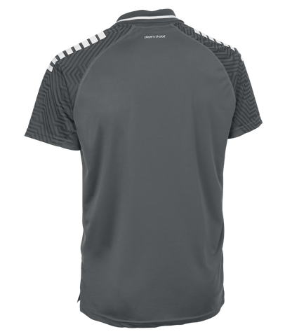 DERBYSTAR Polo-Shirt Primo v24 (grau/weiss)