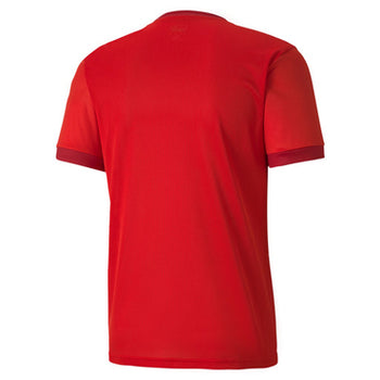 Puma Jersey teamGOAL 23 Herren Rot