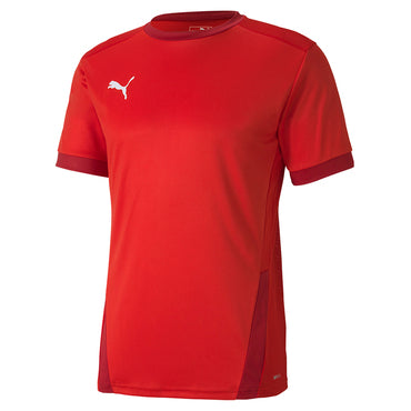 Puma Jersey teamGOAL 23 Herren Rot