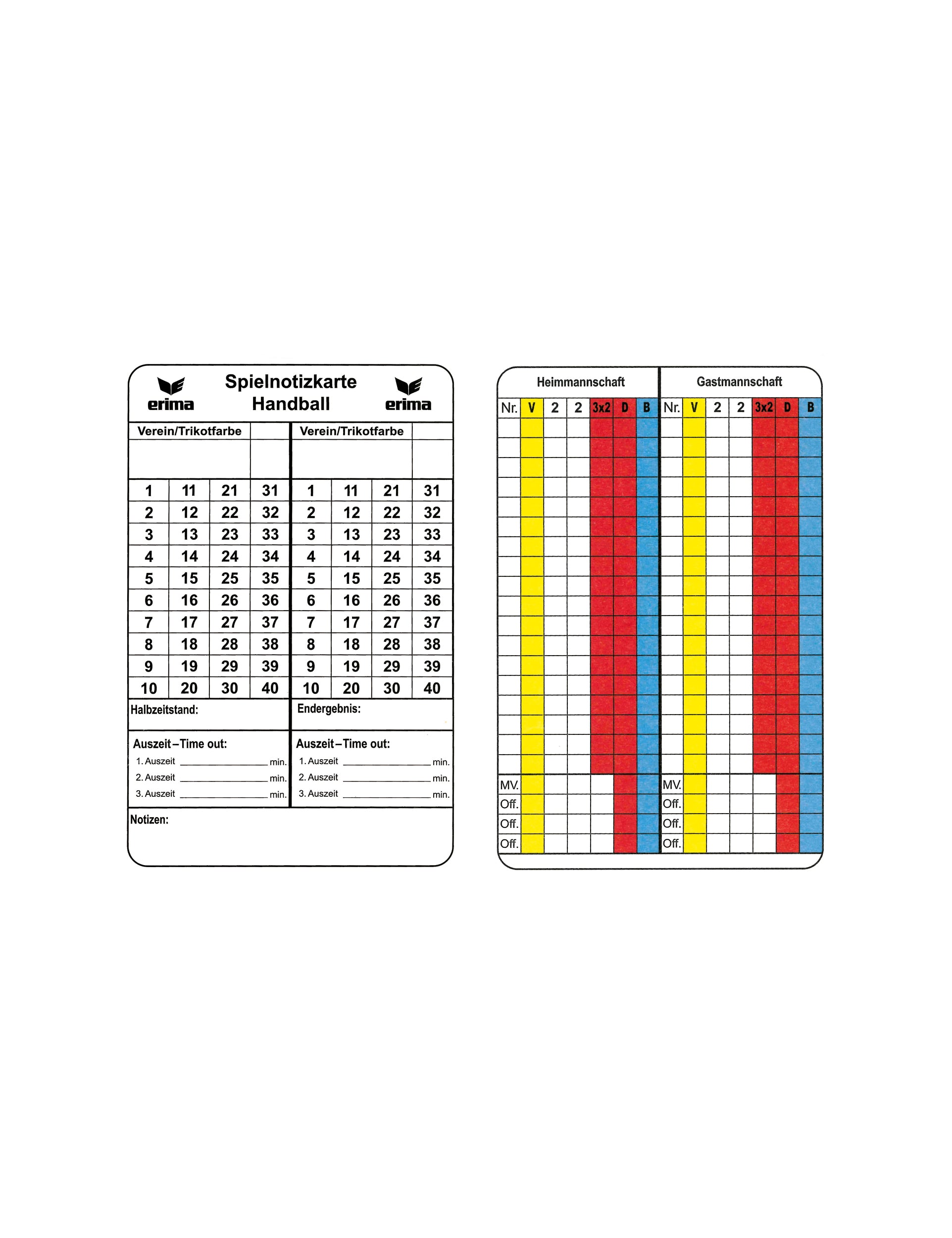 ERIMA Spielnotizkarten Handball Unisex Bunt
