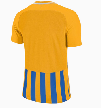Nike Trikot Striped Division III Orange Blau