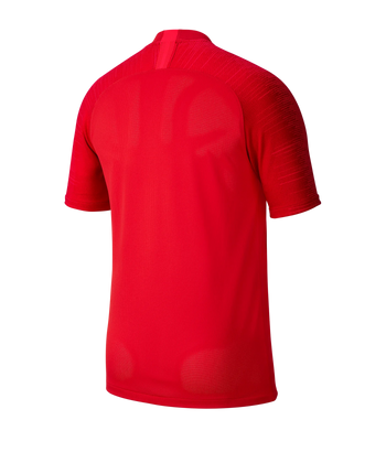 Nike Trikot Strike Herren Rot