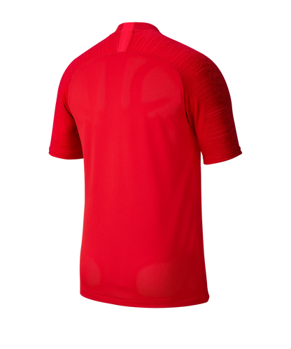 Nike Trikot Strike Herren Rot