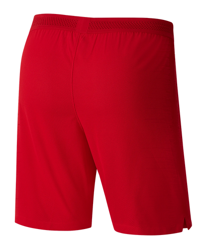 Nike Trainingsshorts Vapor Knit Rot