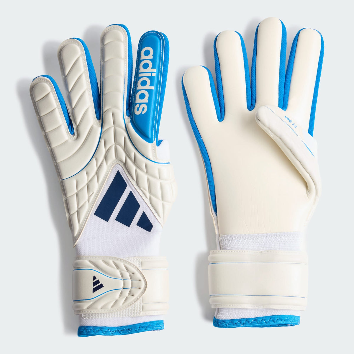 ADIDAS Copa Gl Lge (zero met./Lucid Ray Blue/dark blue)