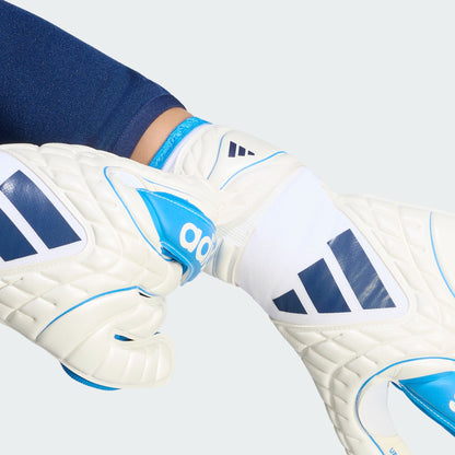 ADIDAS Copa Gl Lge (zero met./Lucid Ray Blue/dark blue)