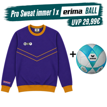 DYF Sweatshirt Blau × ERIMA 290 HYBRID Lite 5