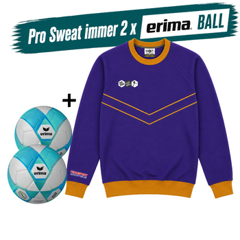 DYF Sweatshirt Blau × 2 Bälle ERIMA 290 HYBRID Lite 5
