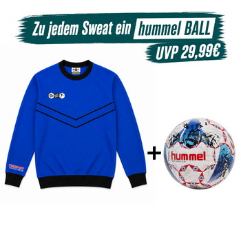 DYF Sweatshirt Türkis × Hummel Lite 350 INSPIRE Training 5