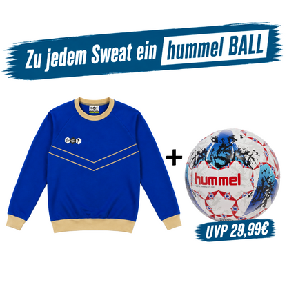 DYF Sweatshirt Blau × Hummel Lite 350 INSPIRE Training 5