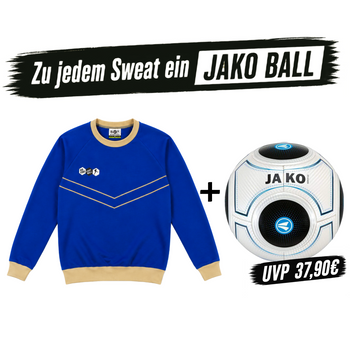 DYF Sweatshirt Blau × JAKO Match 3.0 Gr. 5 420gr