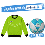 DYF Sweatshirt Grün × ERIMA 290 HYBRID Lite 5
