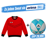 DYF Sweatshirt Rot × ERIMA 290 HYBRID Lite 5