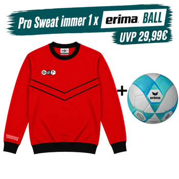 DYF Sweatshirt Rot × ERIMA 290 HYBRID Lite 5