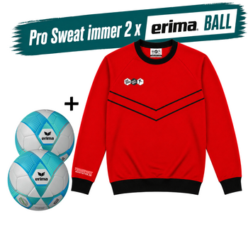 DYF Sweatshirt Rot × 2 Bälle ERIMA 290 HYBRID Lite 5