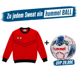 DYF Sweatshirt Rot × Hummel Lite 350 INSPIRE Training 5