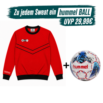 DYF Sweatshirt Rot × Hummel Lite 350 INSPIRE Training 5