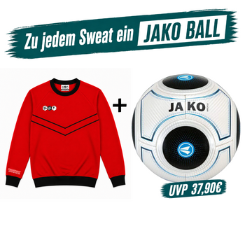 DYF Sweatshirt Rot × JAKO Match 3.0 Gr. 5 420gr