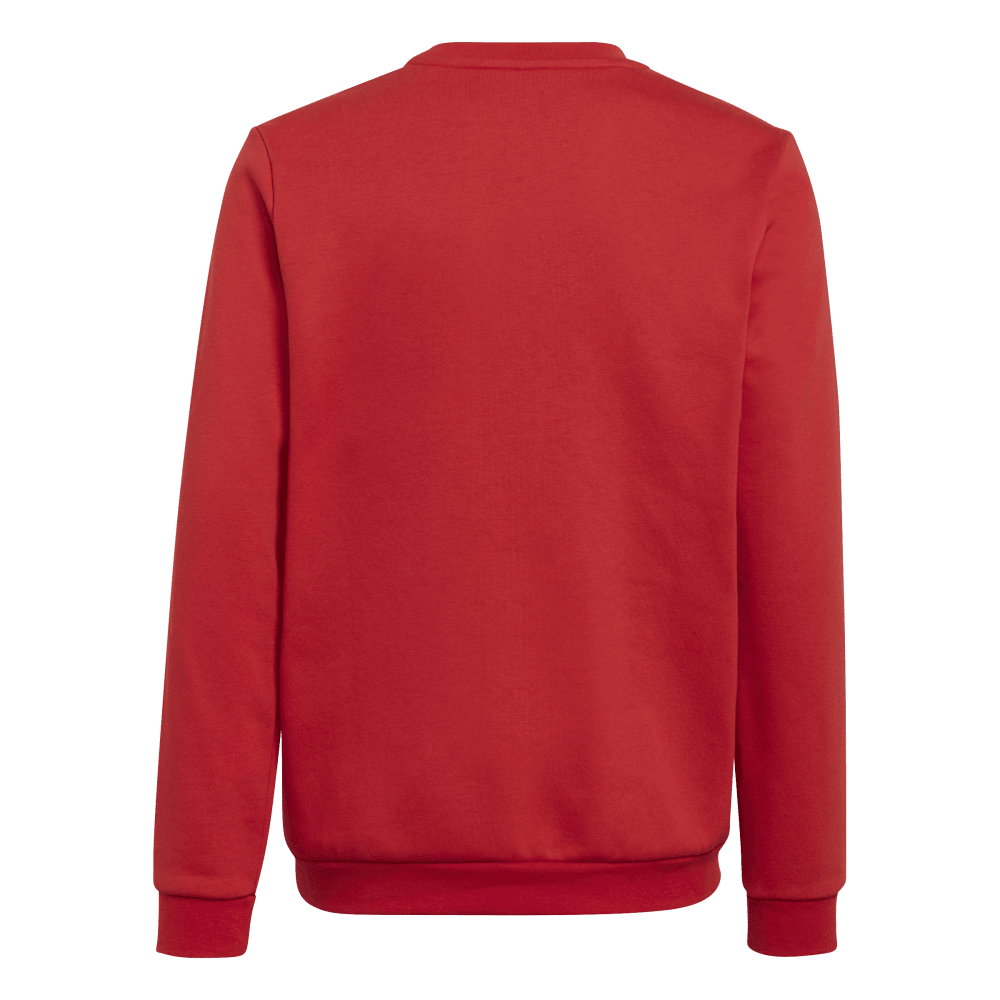 ADIDAS Entrada 22 Sweatshirt Kind (team power red 2) - Back Center View