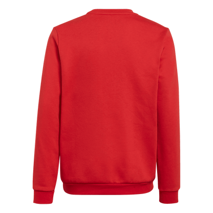 ADIDAS Entrada 22 Sweatshirt Kind (team power red 2) - Back Center View