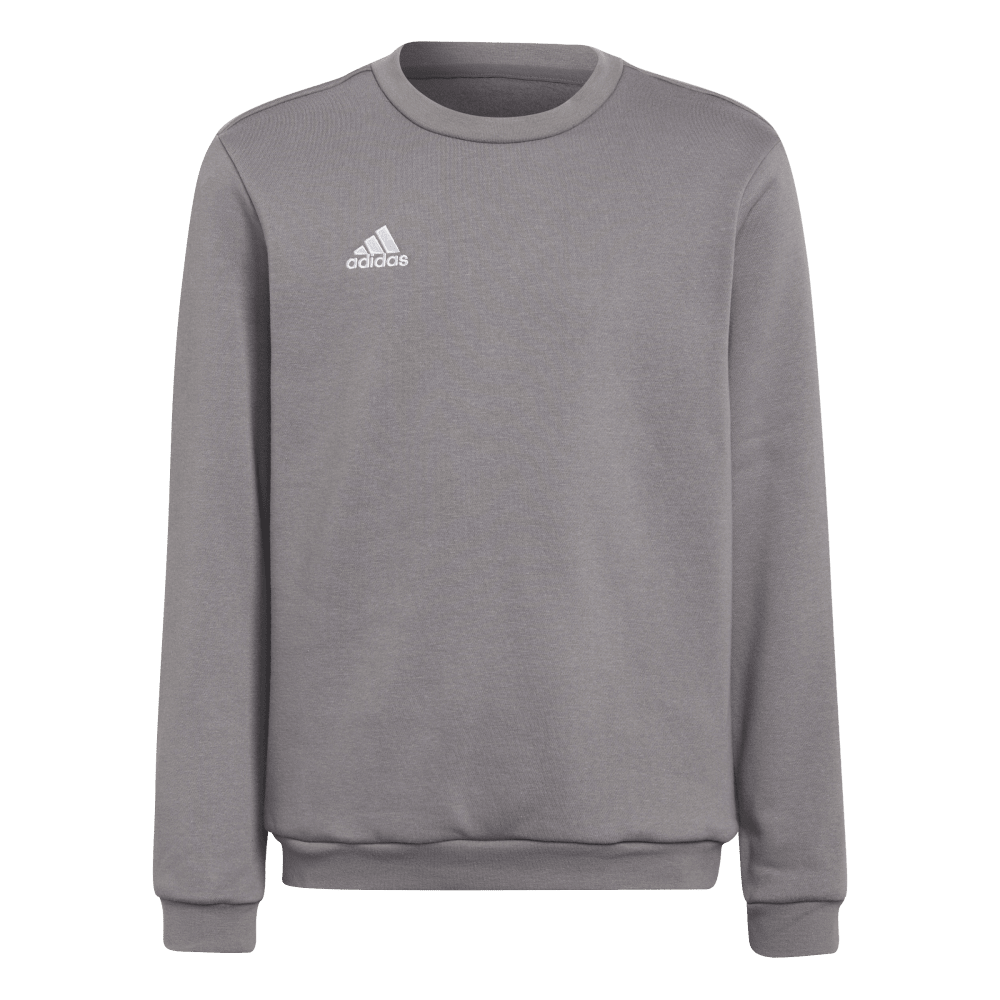 ADIDAS Entrada 22 Sweatshirt Kind (team grey four) - Front View