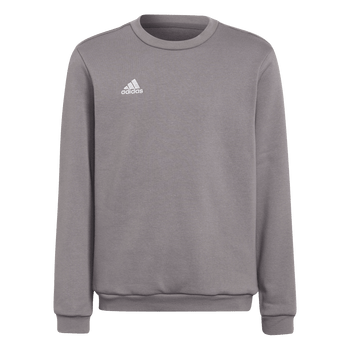 ADIDAS Entrada 22 Sweatshirt Kind (team grey four) - Front View