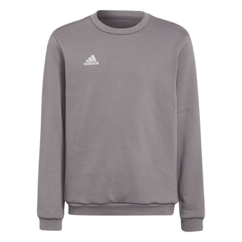 ADIDAS Entrada 22 Sweatshirt Kind (team grey four) - Front Center View