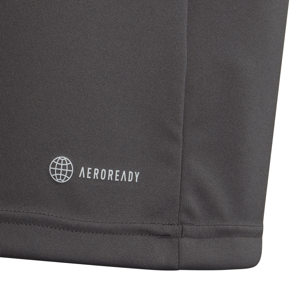 ADIDAS Entrada 22 Poloshirt Kind (team grey four) - Detail View 2