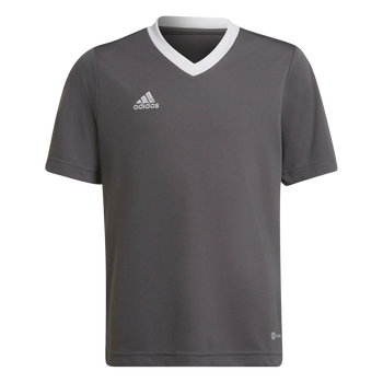 ADIDAS Entrada 22 Trikot Kind (team grey four) - Front View