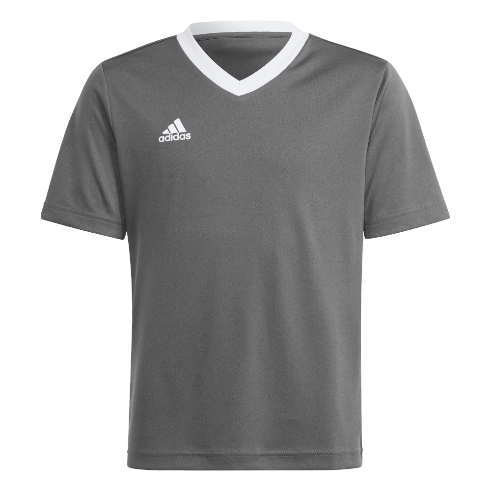 ADIDAS Entrada 22 Trikot Kind (team grey four) - Front View