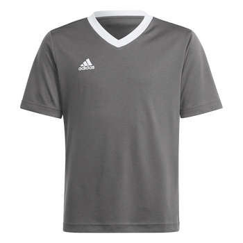 ADIDAS Entrada 22 Trikot Kind (team grey four) - Front View