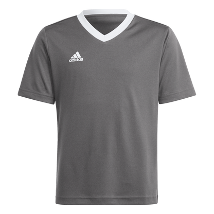 ADIDAS Entrada 22 Trikot Kind (team grey four) - Front View