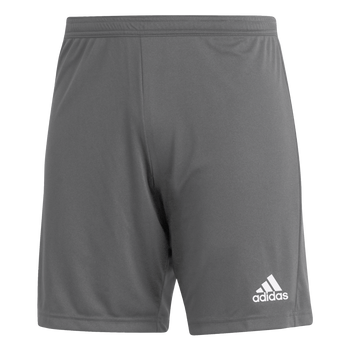 ADIDAS Entrada 22 Shorts Herren (team grey four) - Front View