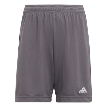 ADIDAS Entrada 22 Shorts Kind (team grey four) - Front View