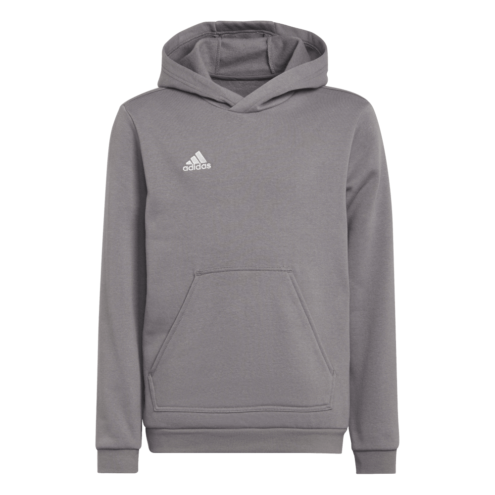 ADIDAS Entrada 22 Sweat Hoodie Kind (team grey four) - Front View