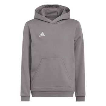 ADIDAS Entrada 22 Sweat Hoodie Kind (team grey four) - Front View