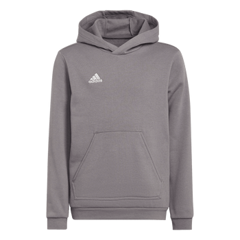 ADIDAS Entrada 22 Sweat Hoodie Kind (team grey four) - Front Center View