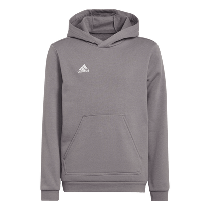 ADIDAS Entrada 22 Sweat Hoodie Kind (team grey four) - Front Center View